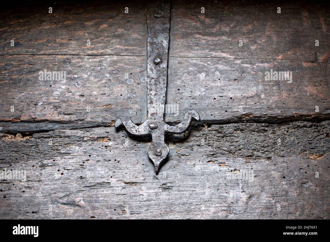 Tronco di legno a St Peter e St Paul Church, Pettistree, Suffolk, Regno Unito Foto Stock