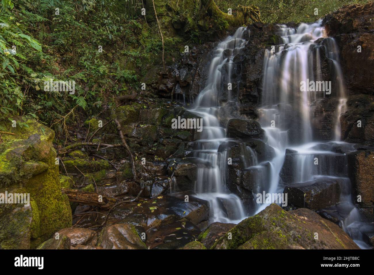 Cascate multiple di gocce d'acqua a Misiones, Argentina, Sud América chiamato Parco Naturale Salto Küppers vicino El Dorado City. Foto Stock