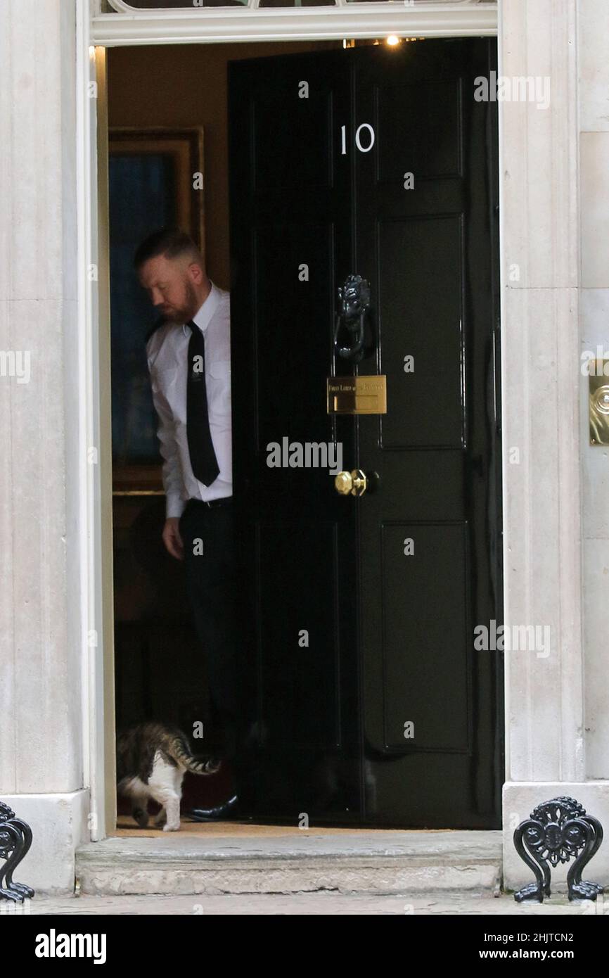 Larry il gatto in attesa di essere lasciato in 10 Downing Street Foto Stock