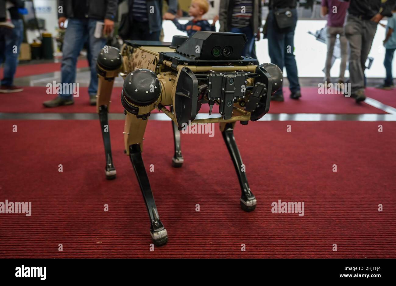 Piccolo cane autonomo come robot che cammina su tappeto rosso alla mostra militare, offuscato sfondo persone Foto Stock