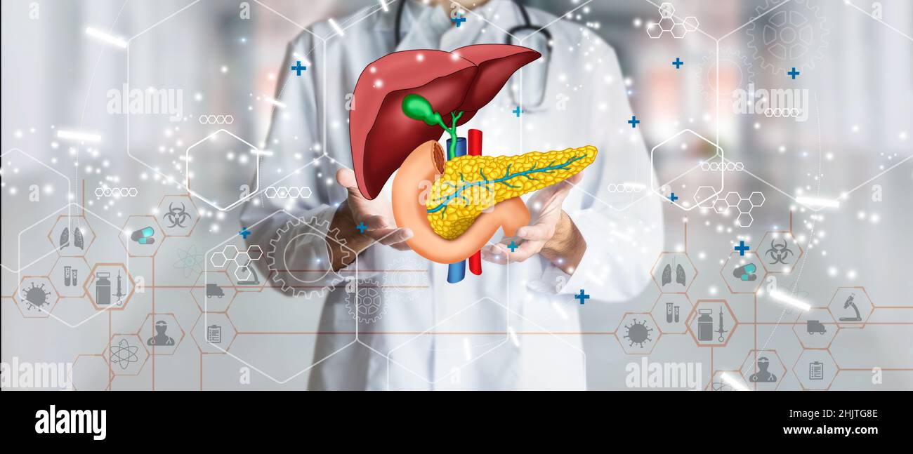 Dottore che tiene ologramma del sistema epatico umano come concetto di salute e benessere. Tecnologia del futuro medico e concetto innovativo. Foto Stock