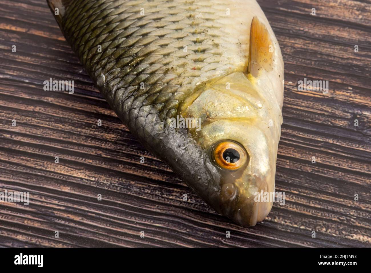 pesce di roach su sfondo di legno Foto Stock