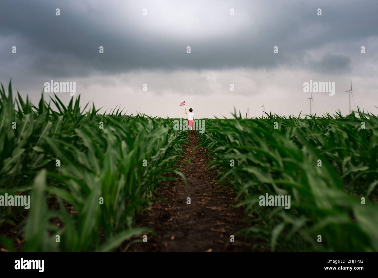 un ragazzo che cammina attraverso un campo di mais con una bandiera in una giornata nuvolosa Foto Stock