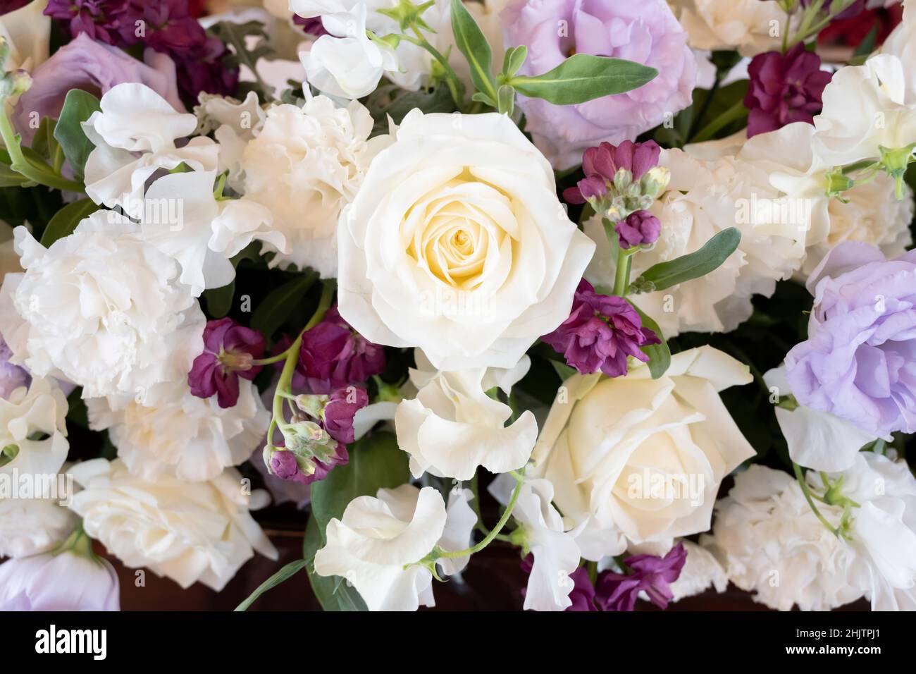 Un sacco di fiori viola e bianchi Foto Stock