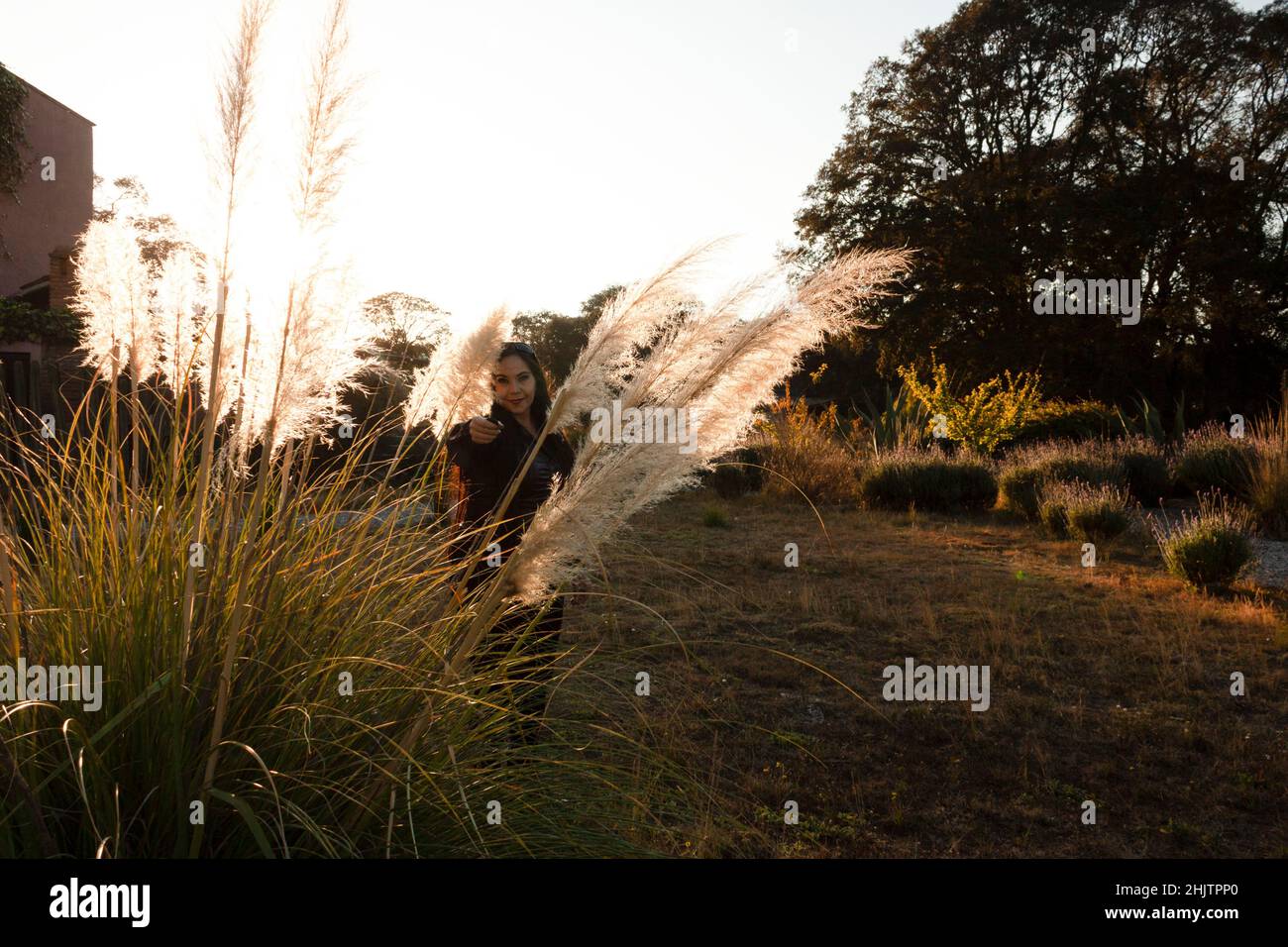 Una donna in una giornata di sole cammina nella foresta per aumentare il benessere Foto Stock