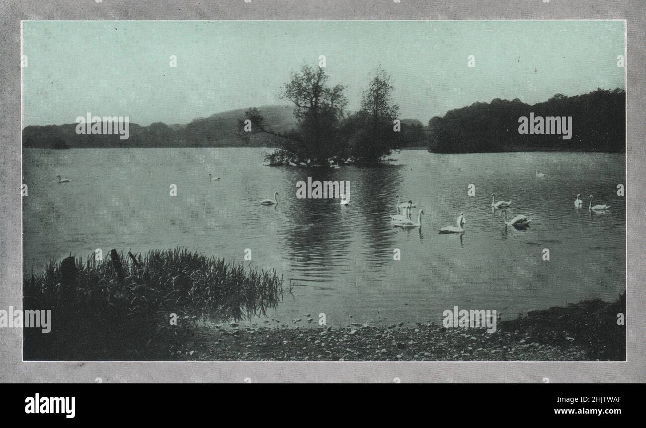 Carlingwark Loch, Castello Douglas. Kirkcudbrightshire (1913) Foto Stock