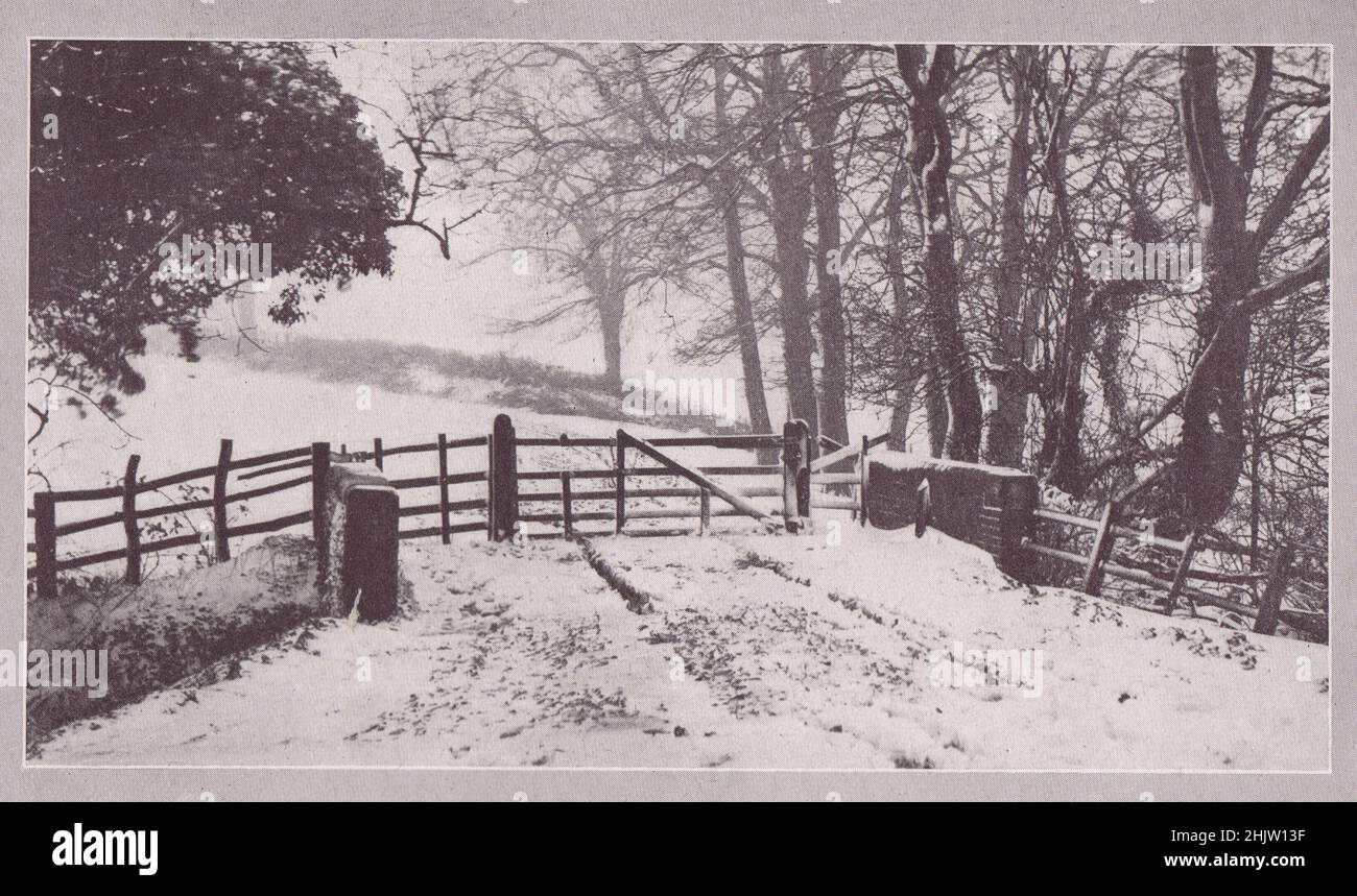 Una strada agricola vicino a Mears Ashby. Northamptonshire (1913) Foto Stock