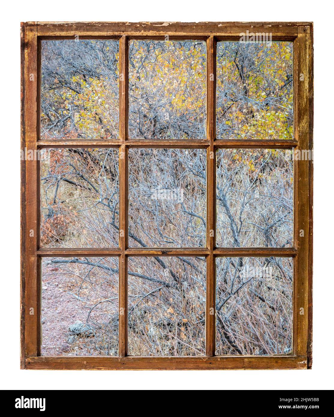 Arazzi di erba e arbusti nella prateria del Colorado, paesaggio di fine autunno nella zona naturale di Soapstone Prairie vicino a Fort Collins Foto Stock