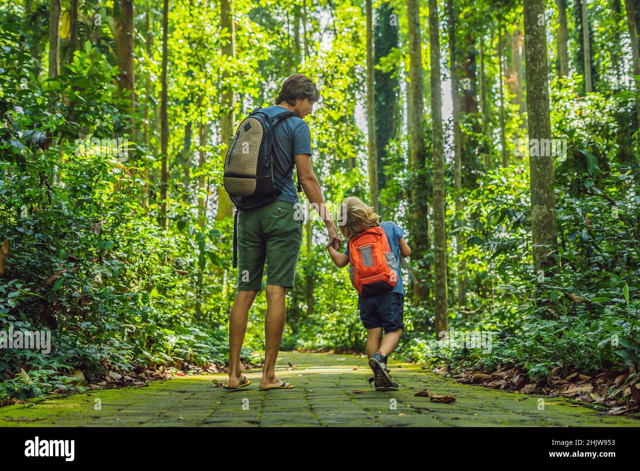 Papà e figlio viaggiatori alla scoperta della foresta Ubud nella foresta delle scimmie, Bali Indonesia. Viaggiare con bambini di concetto Foto Stock