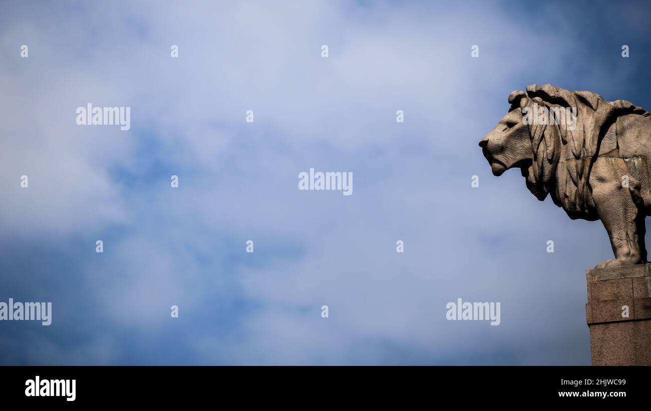 Statua del Leone, Stoccolma, Svezia. Fotografia di viaggio Foto Stock