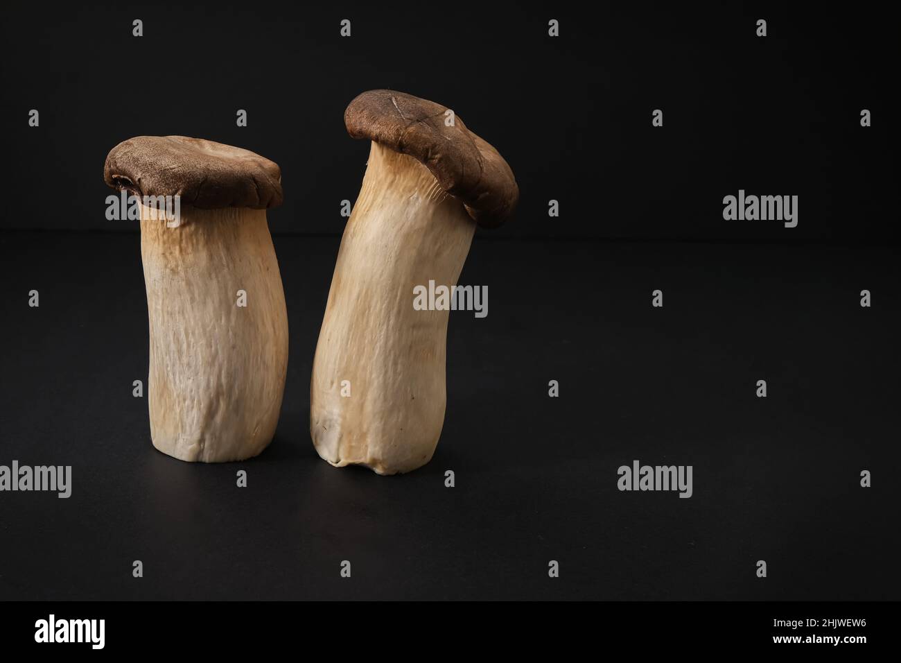 Popolari funghi porcini sani e commestibili asiatici re Oyster su sfondo nero. Cucina asiatica. Foto Stock