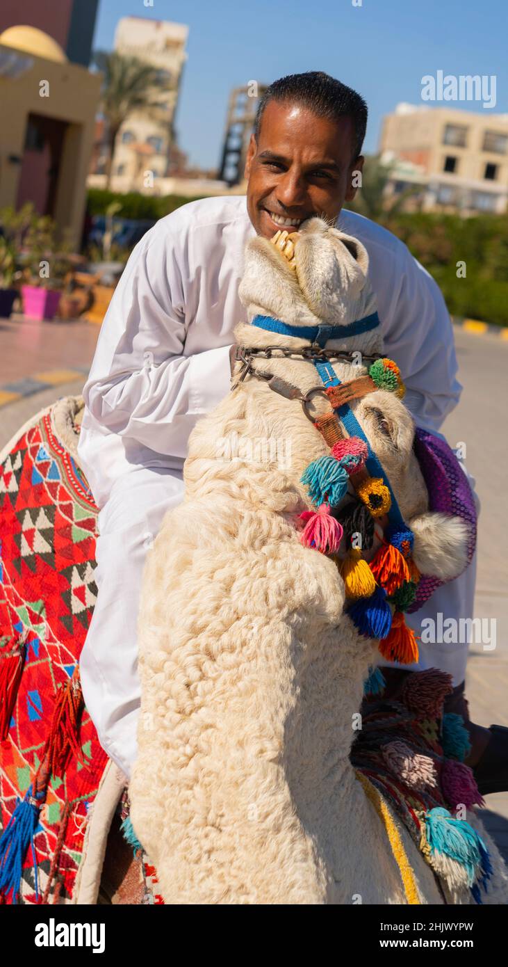 Felice uomo arabo seduto su un divertente cammello Foto Stock