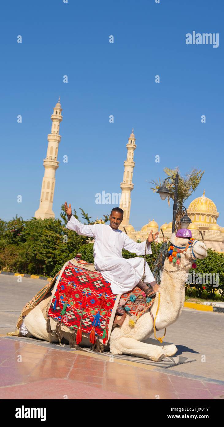 Uomo arabo che si siede su un cammello contro la moschea Foto Stock