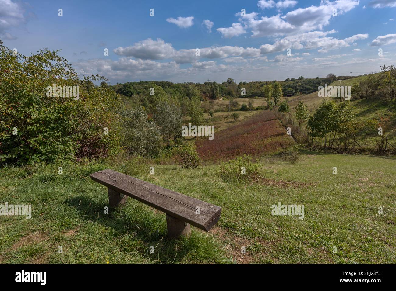 La riserva naturale dell'ex pozzi di ghiaia di Weilbacher, Assia, Germania Foto Stock