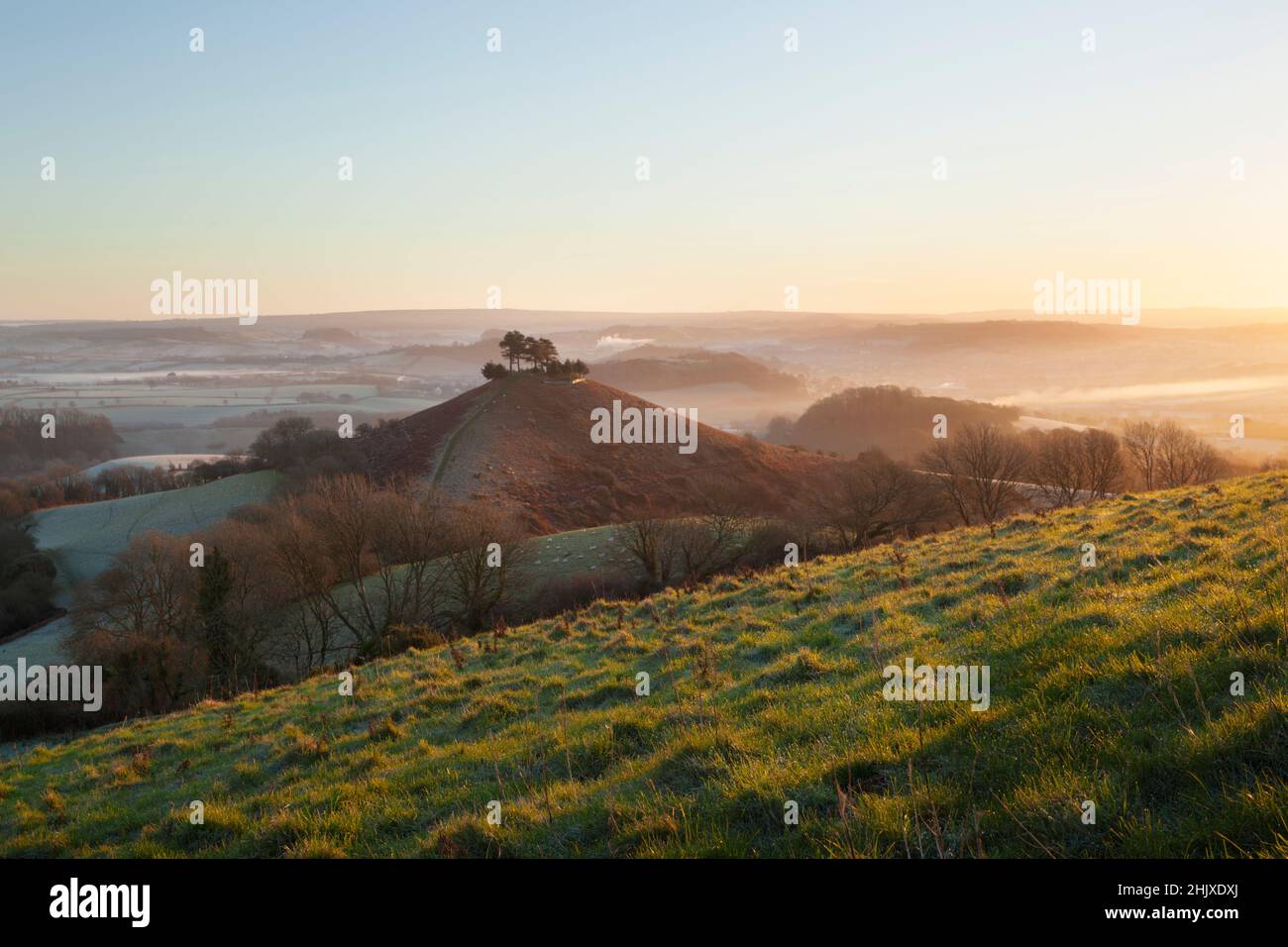 Collina di COLMER e Marshwood vale in inverno mattina. Dorset, Regno Unito. Foto Stock