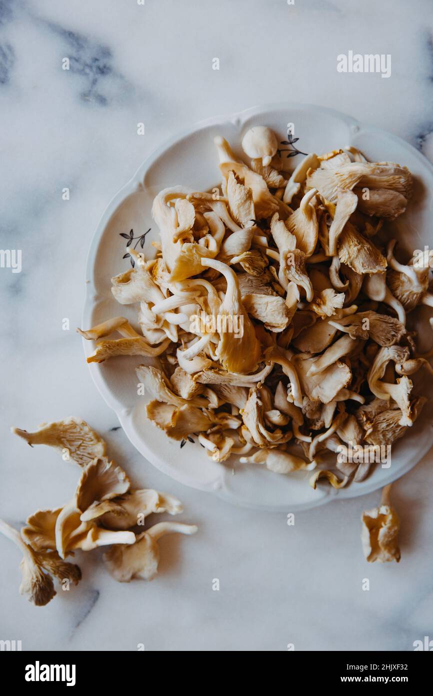 Un piatto di funghi di ostrica crudi Foto Stock
