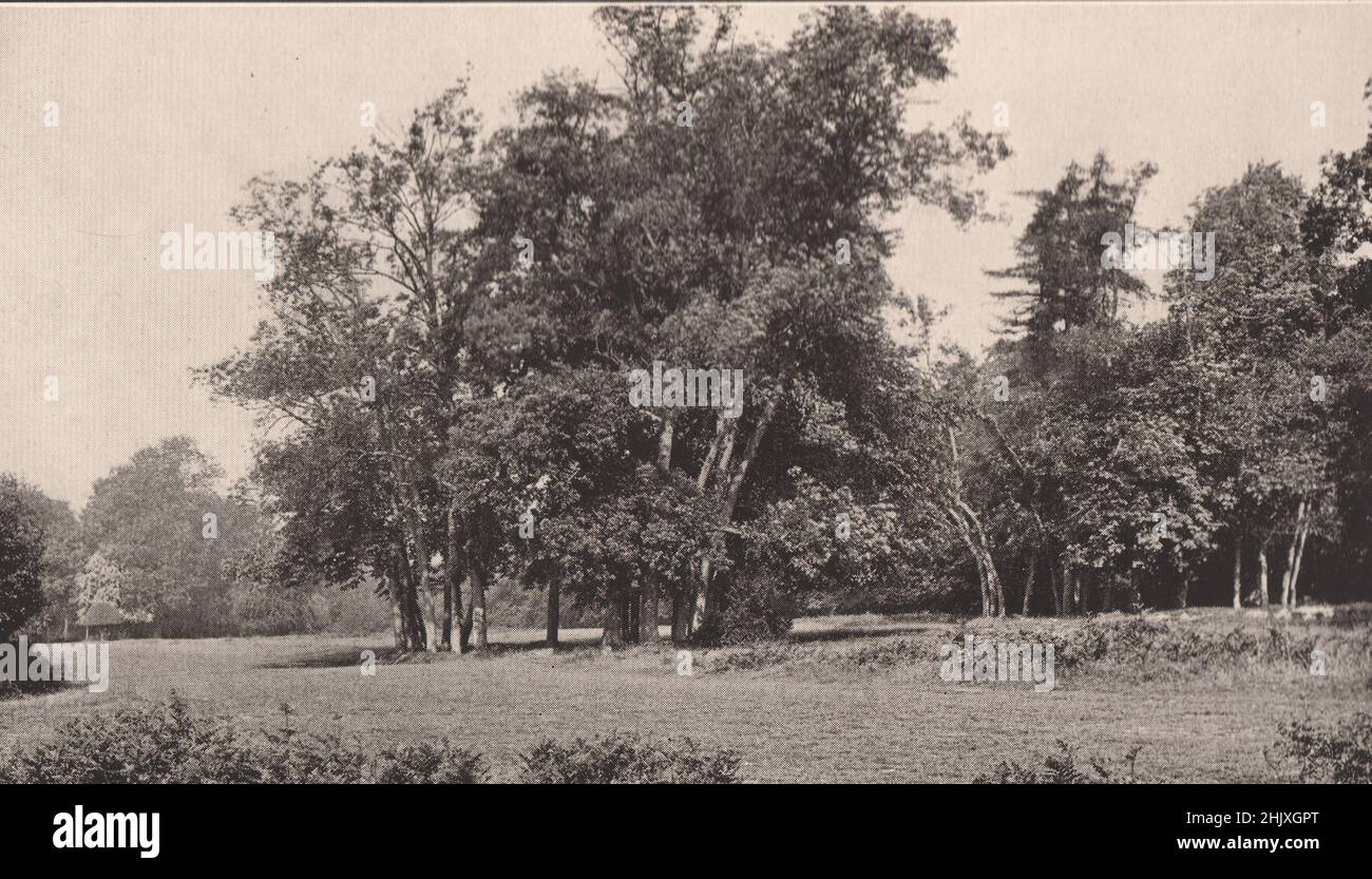 The Crown Inn, Penn. Buckinghamshire (1932) Foto Stock