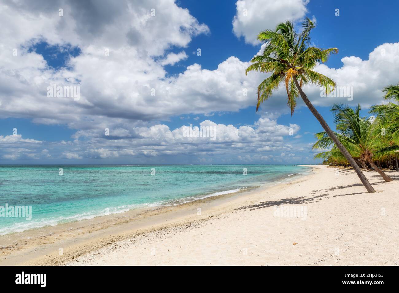 Spiaggia di sabbia tropicale con palme da cocco e mare turchese. Foto Stock