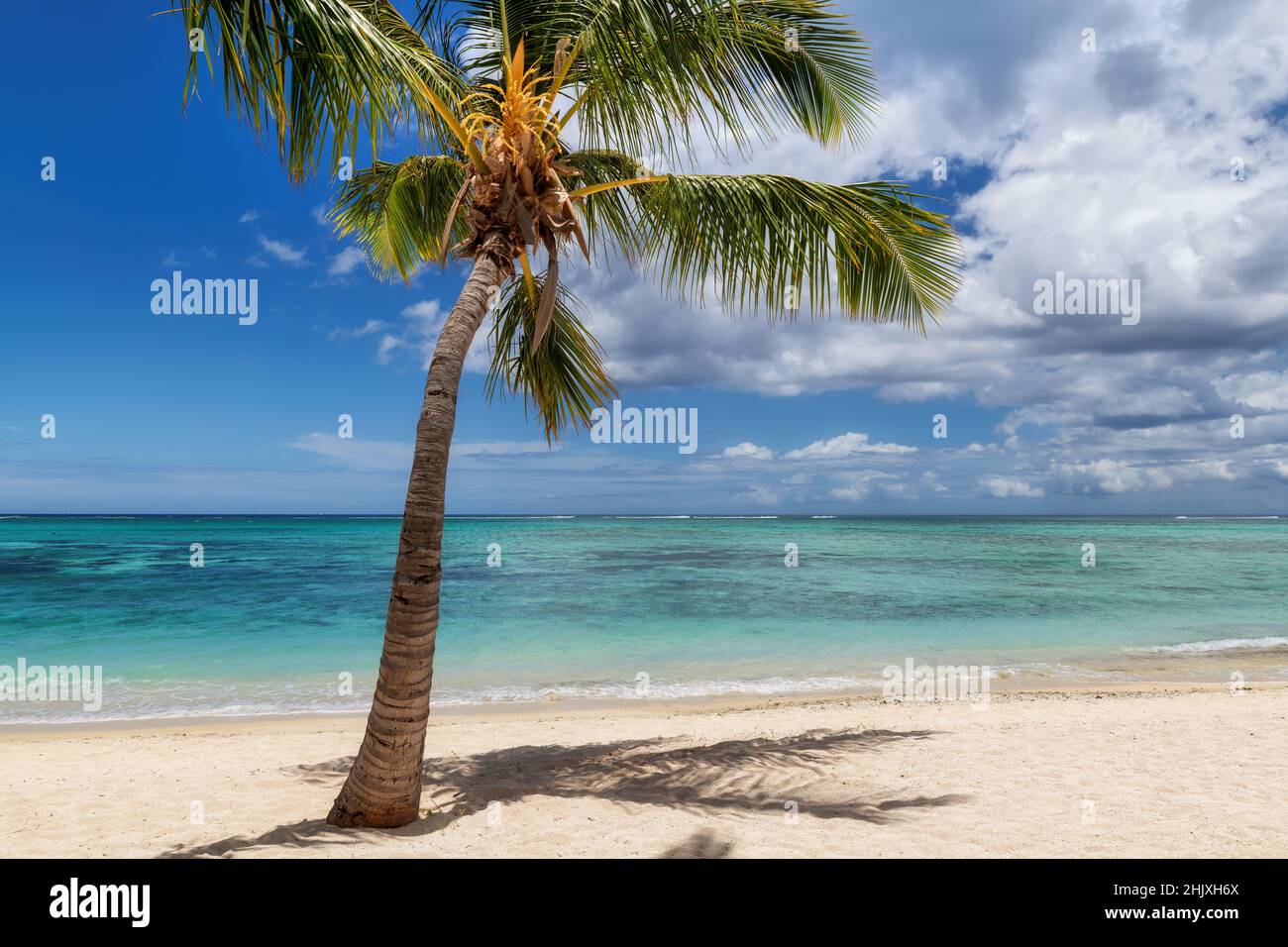Spiaggia di sabbia tropicale con palme da cocco e mare turchese. Foto Stock