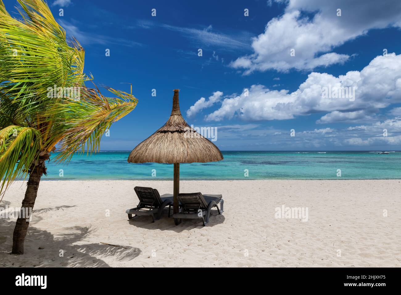 Spiaggia tropicale di sabbia bianca con palme da cocco e il mare turchese sull'isola dei Caraibi. Foto Stock