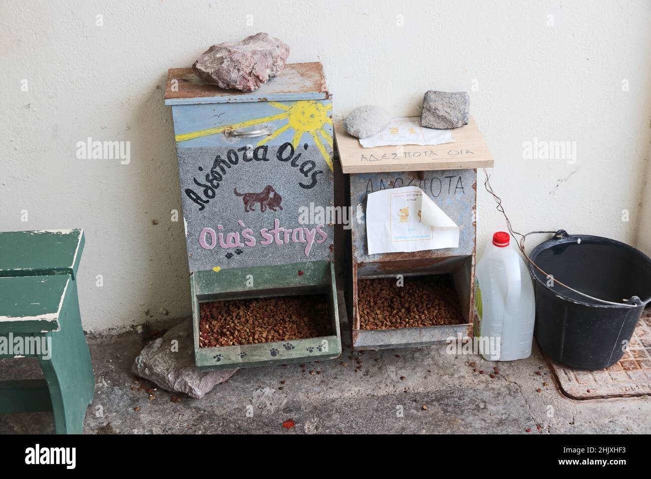 Cibo per cani randagi, Oia, Santorini Foto Stock