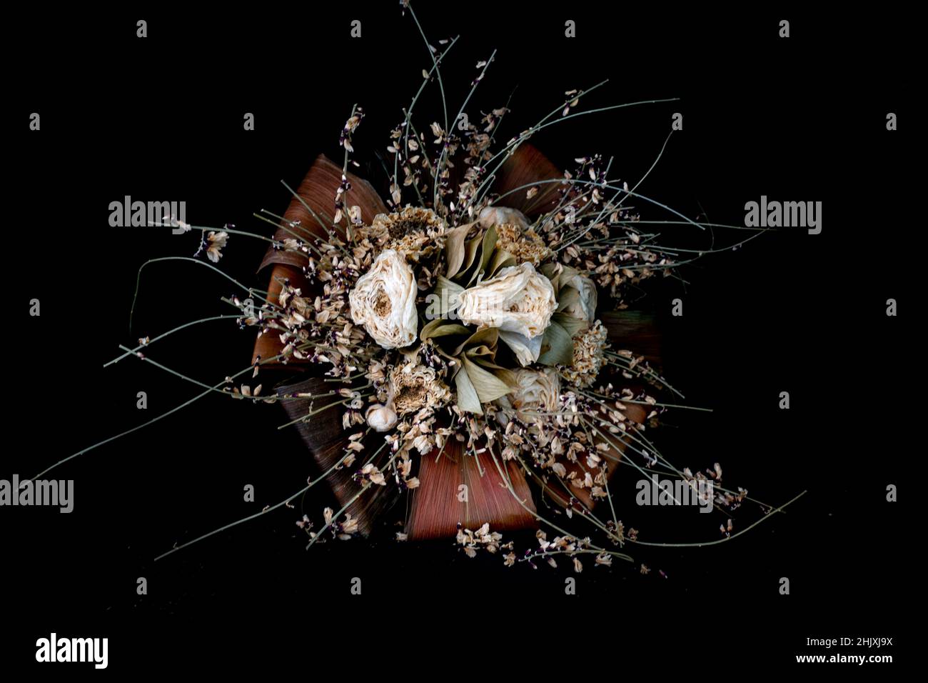 Composizione di fiori secchi Foto Stock