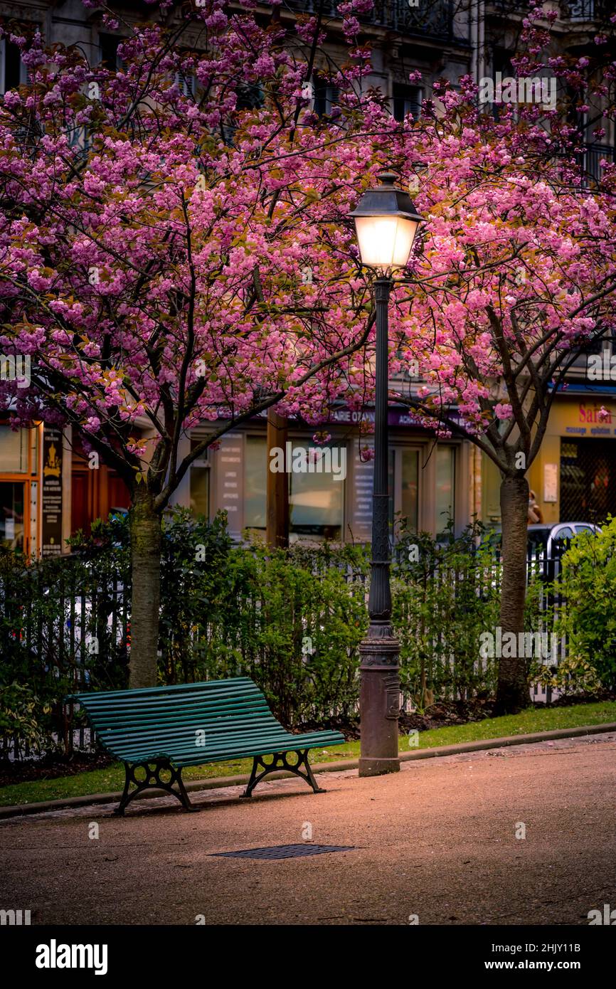 Parigi, Francia - 11 aprile 2021: Una panchina e un lampione con i bellissimi colori della primavera a Parigi Foto Stock