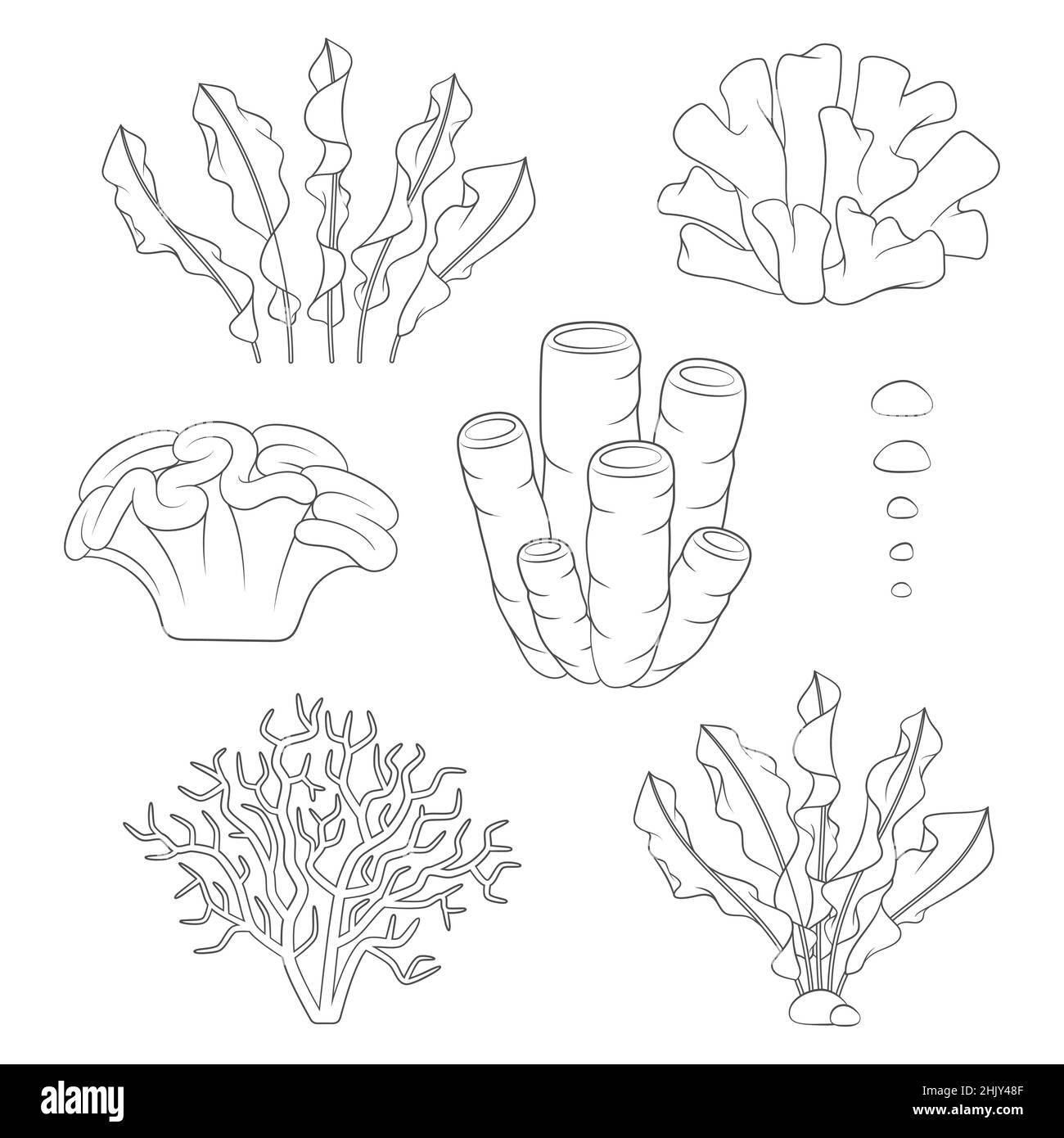 Set di illustrazioni in bianco e nero con coralli e alghe. Oggetti vettoriali isolati su sfondo bianco. Illustrazione Vettoriale