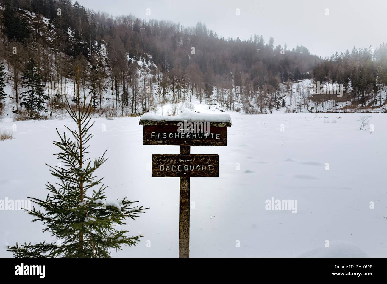 Germania, Foresta Nera- Nonnenmattweiher, di fronte ad una spiaggia ghiacciata e nevosa con cartello beachzone Foto Stock