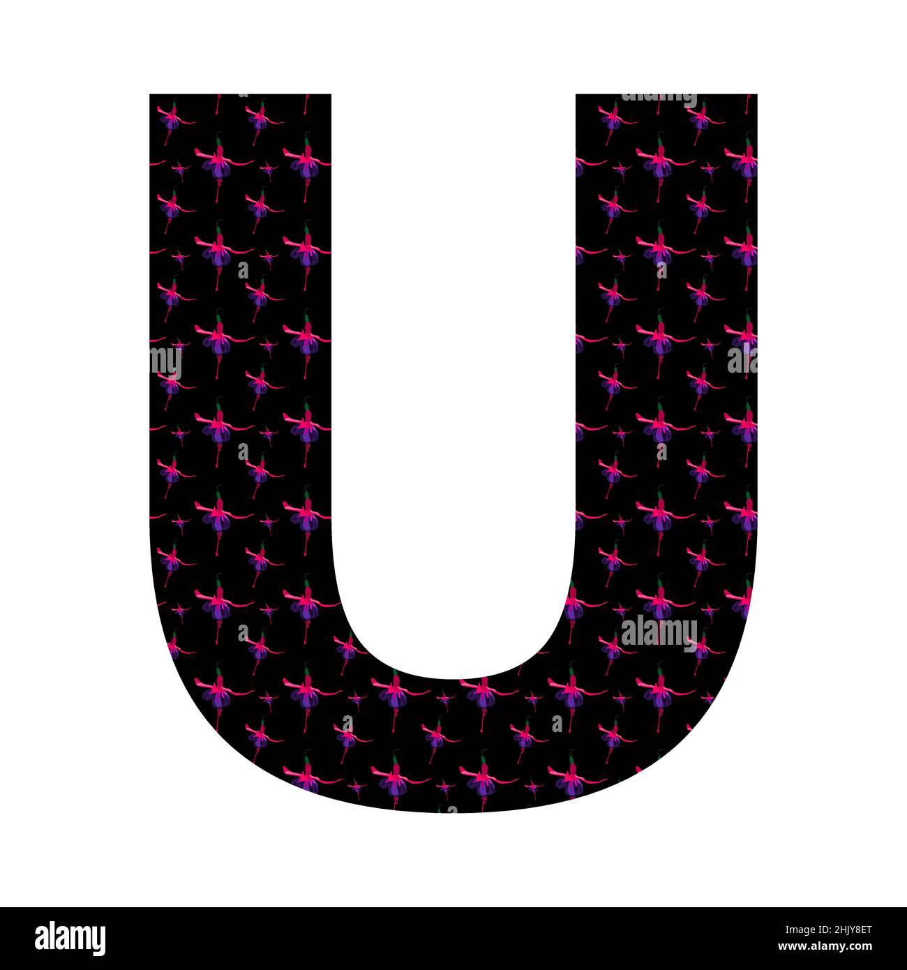 Lettera U dell'alfabeto fatta con un motivo di fiori rosa fucsia su sfondo nero, isolato su sfondo bianco, vettore Illustrazione Vettoriale