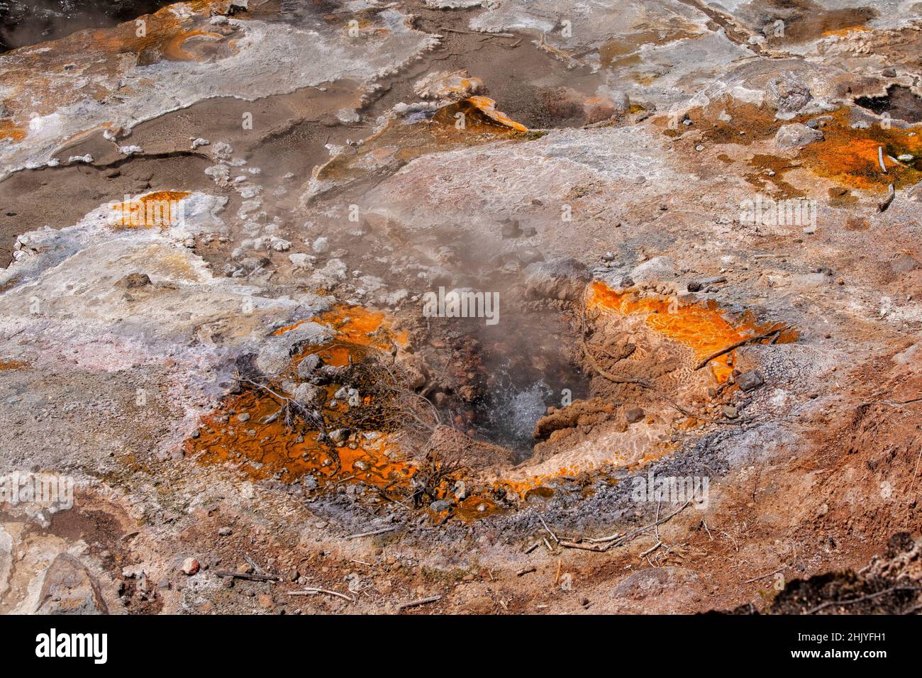 Caratteristica geotermica della valle vulcanica di Waimangu, Rotorua, Nuova Zelanda Foto Stock