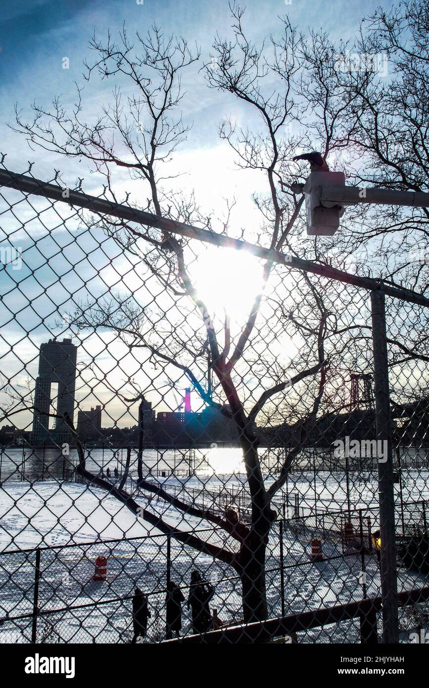 New York, New York, Stati Uniti. 31st Jan 2022. East River Park protesta & Details.Protesters riuniti in East River Park per impedire ai lavoratori edili contratti di tagliare alberi per il passaggio di testa sul ESCR - East Side Coastal progetto di resilienza, uno sforzo della città per costruire un levee che fornirà flood control.second a piani pubblici, Una parete di 1,2 miglia con parco razed oltre un riempimento di 8 piedi costeggierà l'East River, richiedendo l'espulsione di circa 1000 alberi lungo la riva del fiume. L'anno scorso, nel mese di dicembre, gli aerei di Cherry e Londra della sezione sud del parco sono stati, taglio a Foto Stock