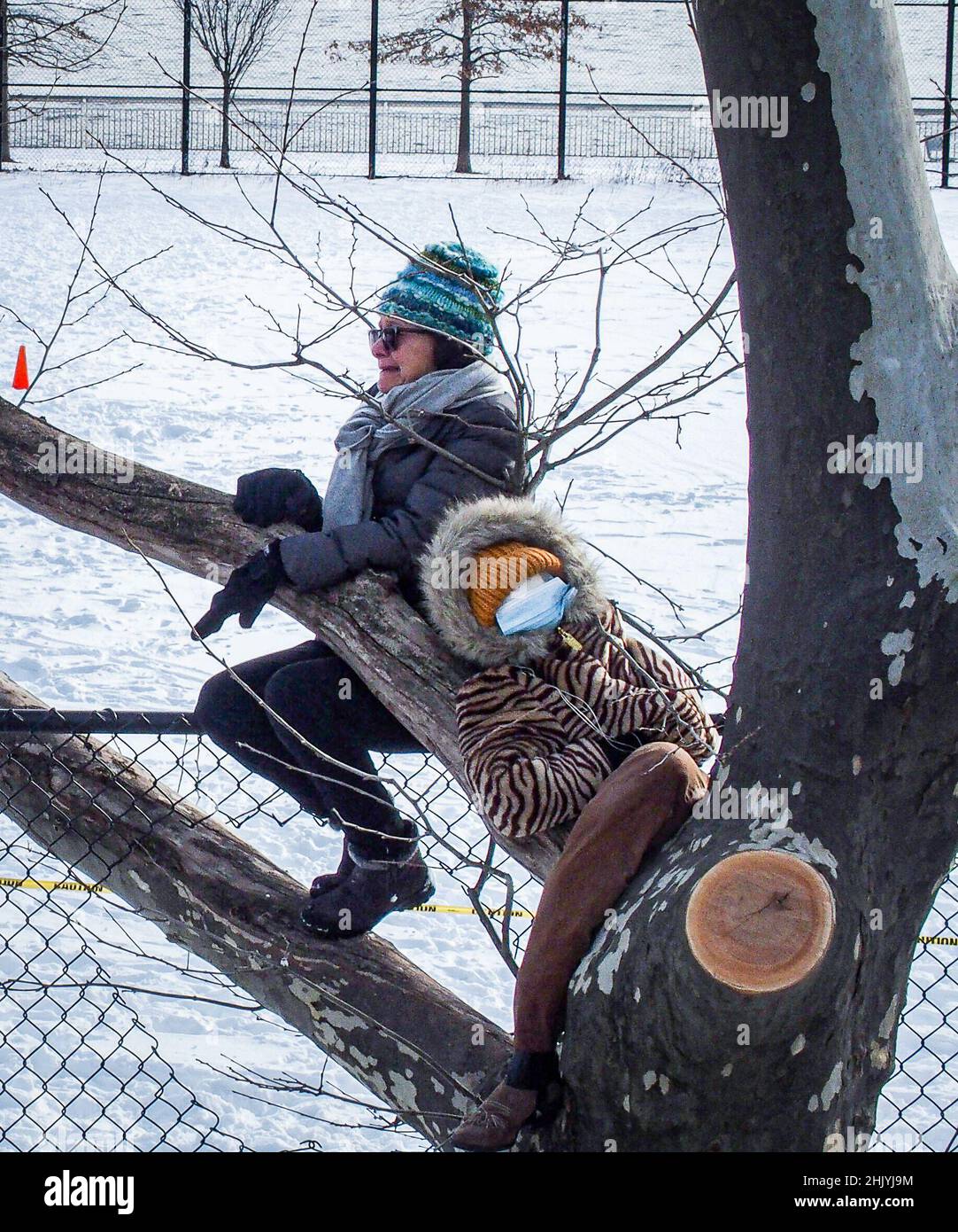 New York, New York, Stati Uniti. 31st Jan 2022. East River Park protesta & Details.Protesters riuniti in East River Park per impedire ai lavoratori edili contratti di tagliare alberi per il passaggio di testa sul ESCR - East Side Coastal progetto di resilienza, uno sforzo della città per costruire un levee che fornirà flood control.second a piani pubblici, Una parete di 1,2 miglia con parco razed oltre un riempimento di 8 piedi costeggierà l'East River, richiedendo l'espulsione di circa 1000 alberi lungo la riva del fiume. L'anno scorso, nel mese di dicembre, gli aerei di Cherry e Londra della sezione sud del parco sono stati, taglio a Foto Stock