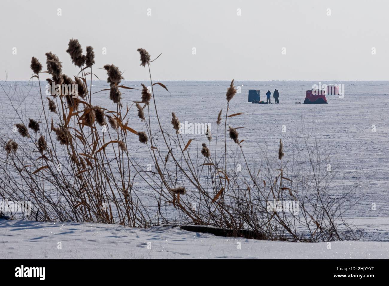 Harrison Township, Michigan - pescatori di ghiaccio sul lago St Clair al lago St Clair Metropark. Foto Stock