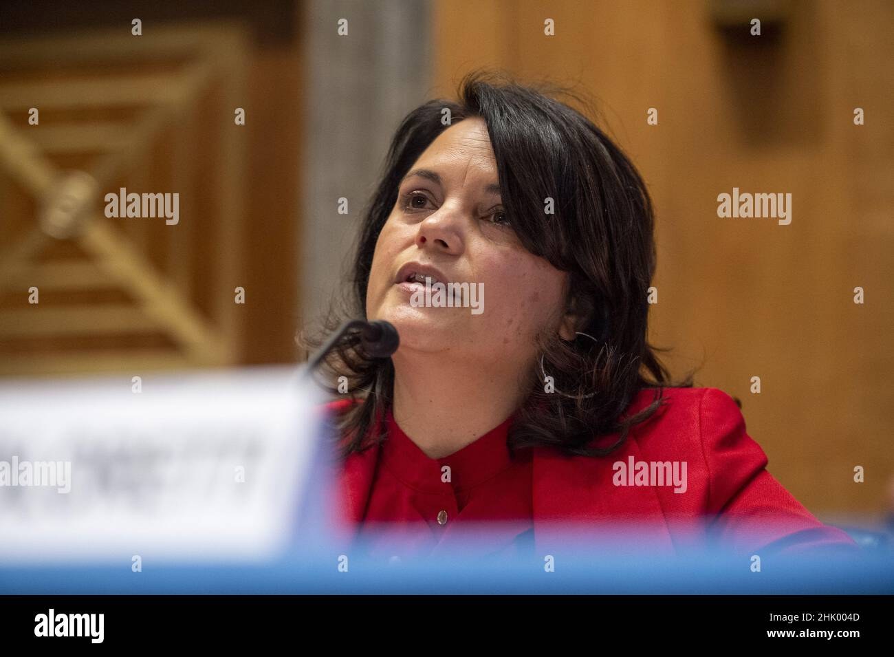Washington, Stati Uniti. 01st Feb 2022. Nani Coloretti, dalla California, parla ad un'audizione del Senato Homeland Security and Governal Affairs Committee che la nomina come Vice Direttore dell'Ufficio di Gestione e bilancio presso il Campidoglio degli Stati Uniti a Washington, DC martedì 1 febbraio 2022. Foto di Bonnie Cash/UPI. Credit: UPI/Alamy Live News Foto Stock