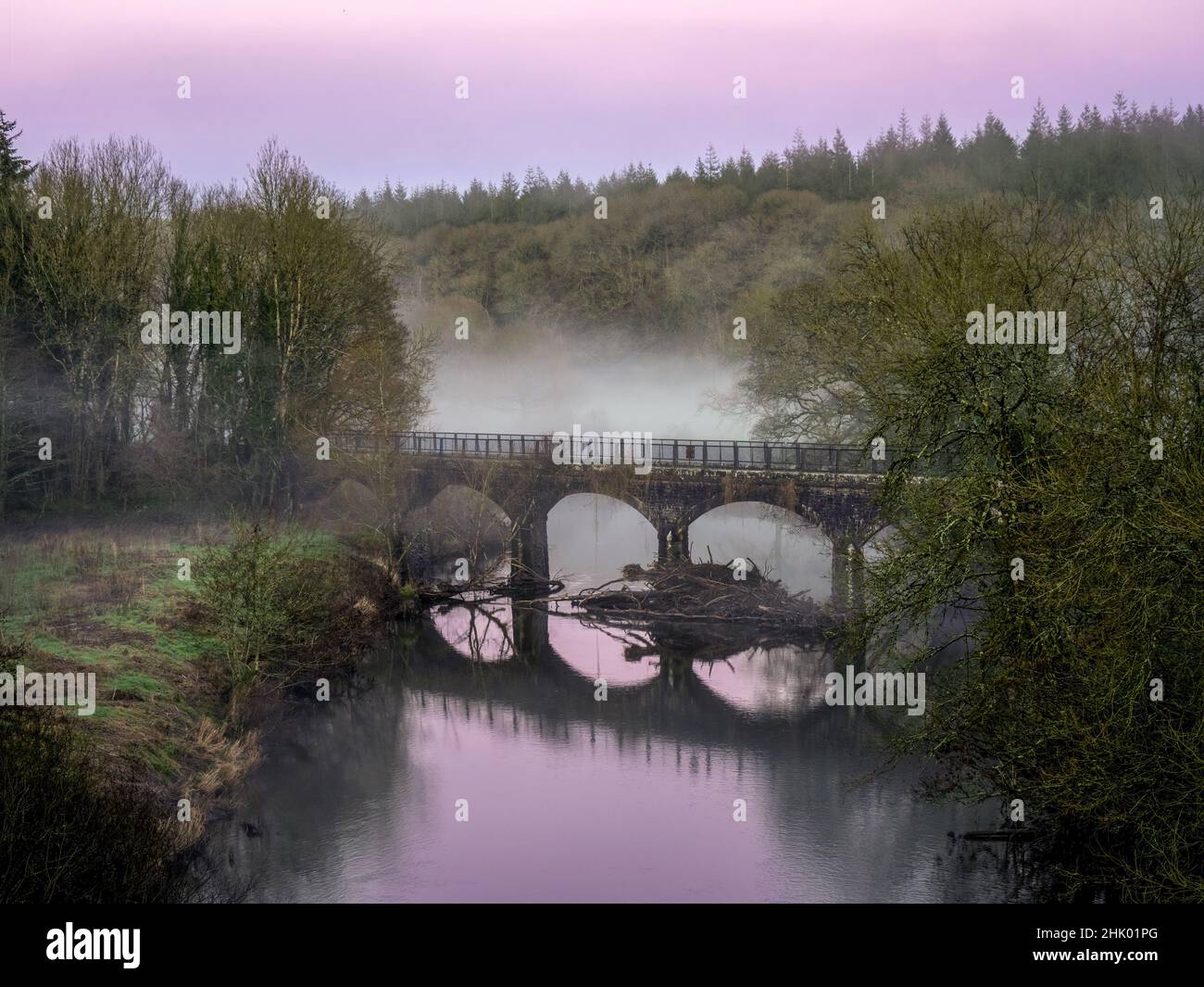 Caduta notturna, nebbia che sorge sul fiume Torridge e ponte, North Devon, Inghilterra, Regno Unito. Foto Stock