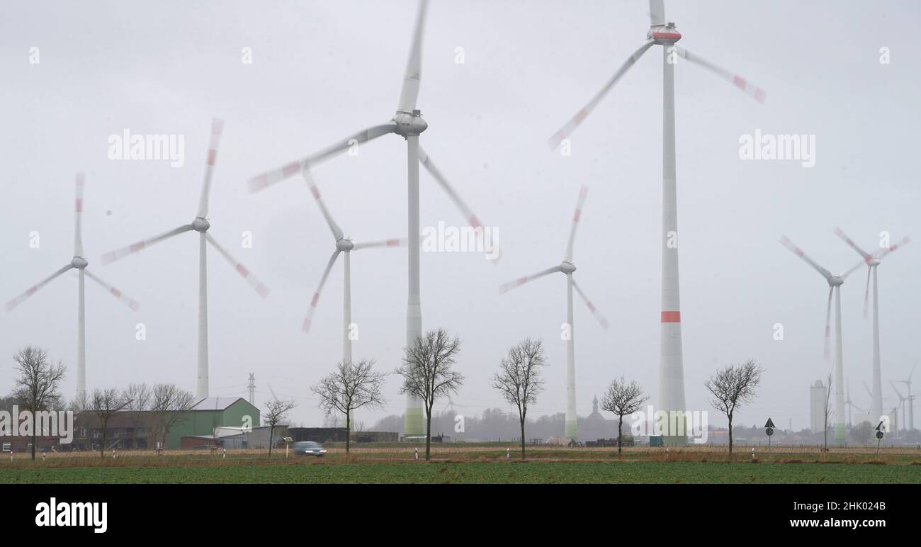 Wellinghusen, Germania. 01st Feb 2022. PRODUZIONE - le turbine eoliche stanno girando nel vento. L'abolizione del prelievo ai sensi della legge sulle fonti energetiche rinnovabili (EEG) è stata finora pianificata dal governo federale per il 1 gennaio 2023, ma la coalizione di semafori sta discutendo di portare avanti il passo. Credit: Marcus Brandt/dpa/Alamy Live News Foto Stock