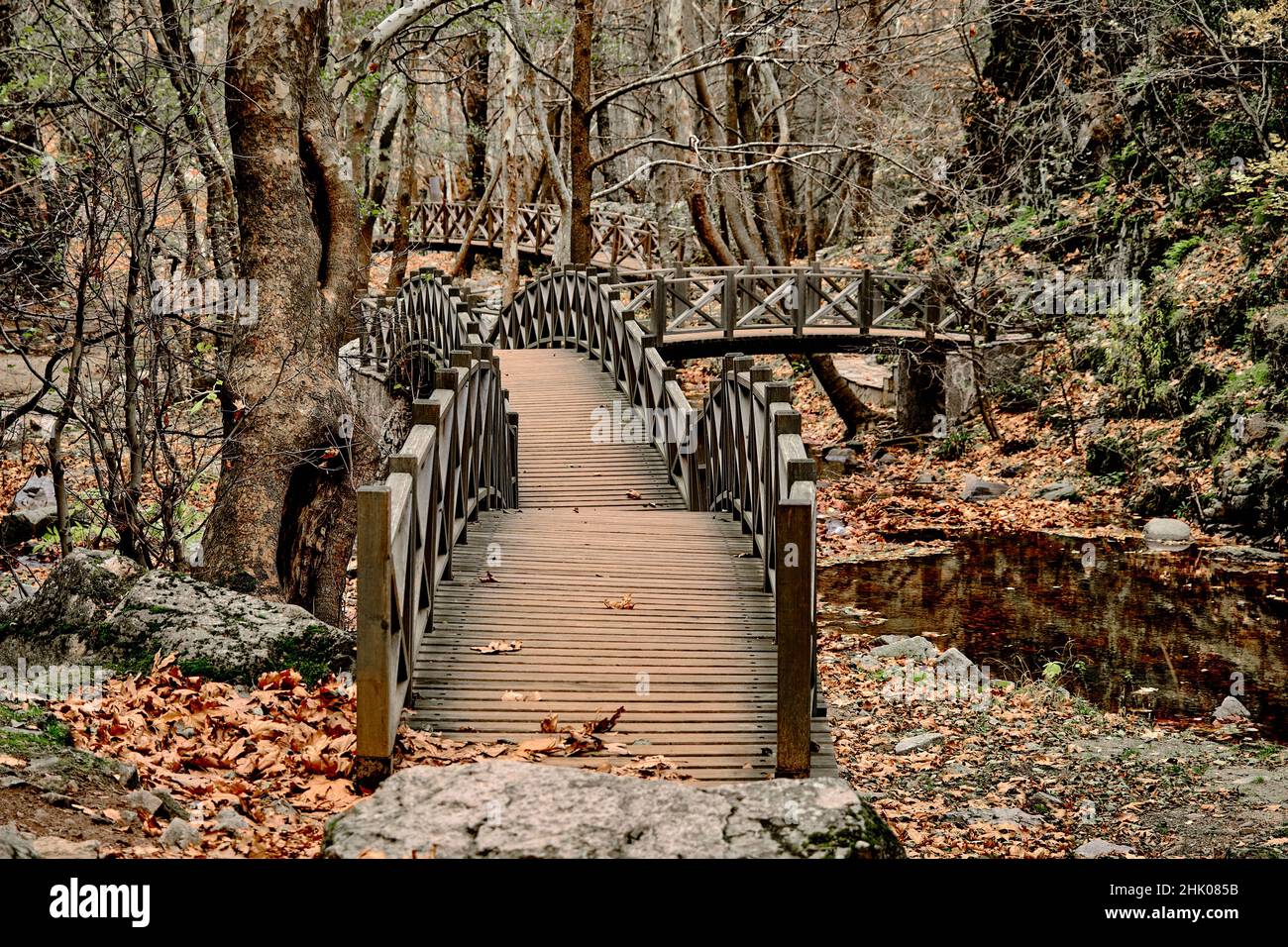 Gruppi di ponti, molti ponti in legno in autunno e colori autunno a valle a Sadagi in Bursa, il nome locale è Sadagi kanyonu in Bursa. Foto Stock
