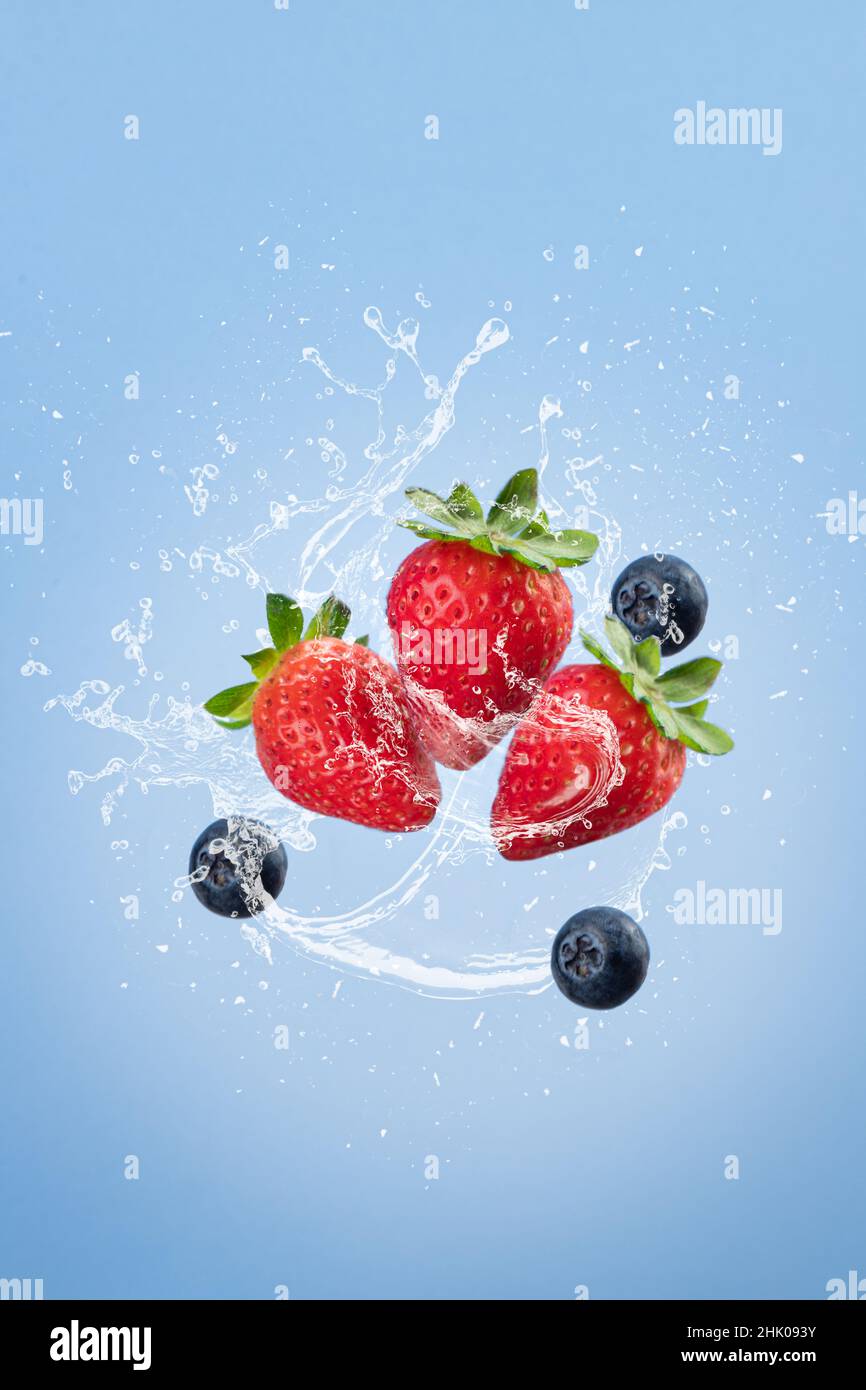 Fragola volante con acqua spruzzata isolato su nero blu. Formato verticale. Concetto di gravità. Foto Stock