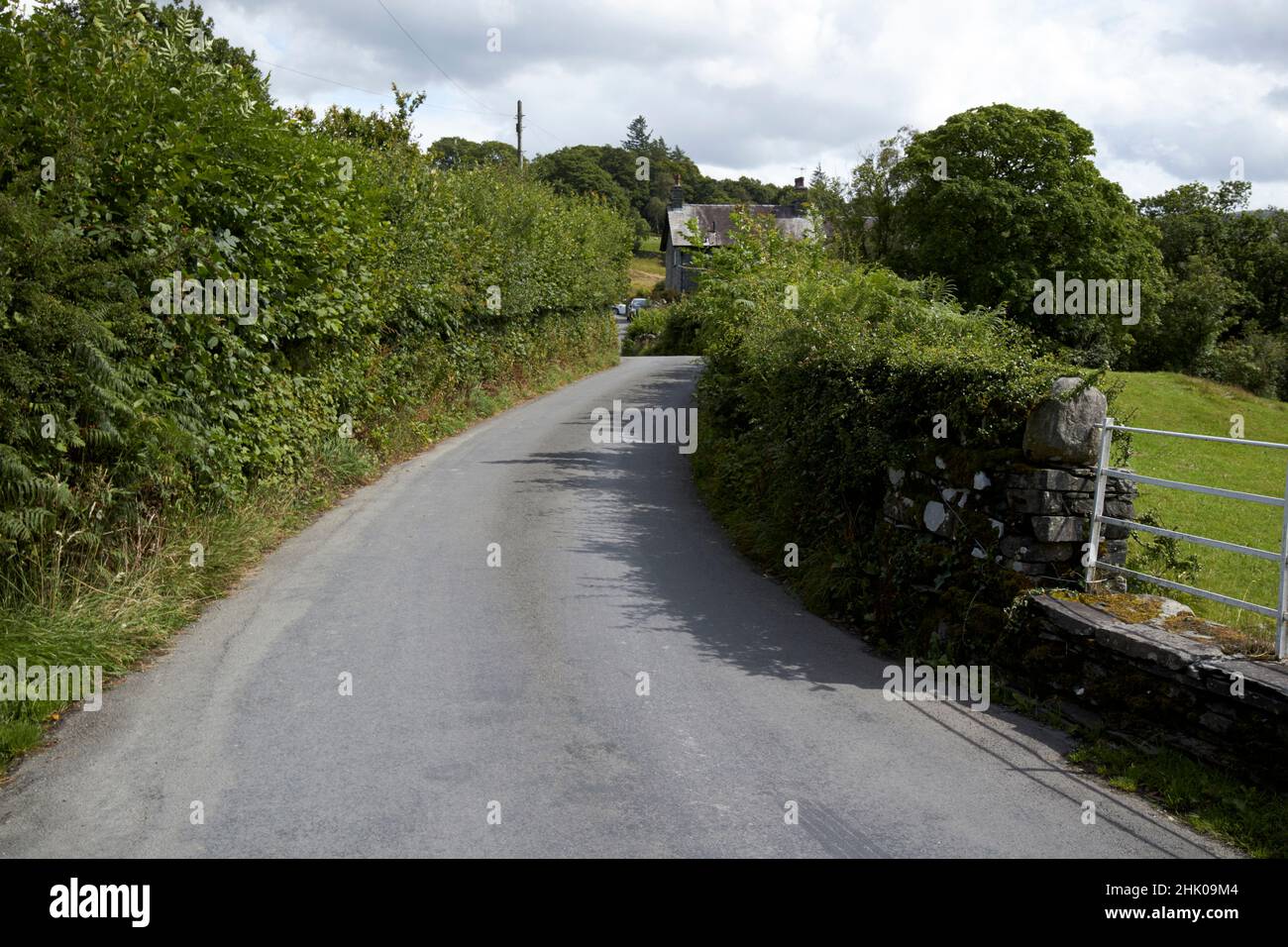 alte siepi che costeggiano la piccola strada attraverso il distretto del lago di little langdale, cumbria, inghilterra, regno unito Foto Stock