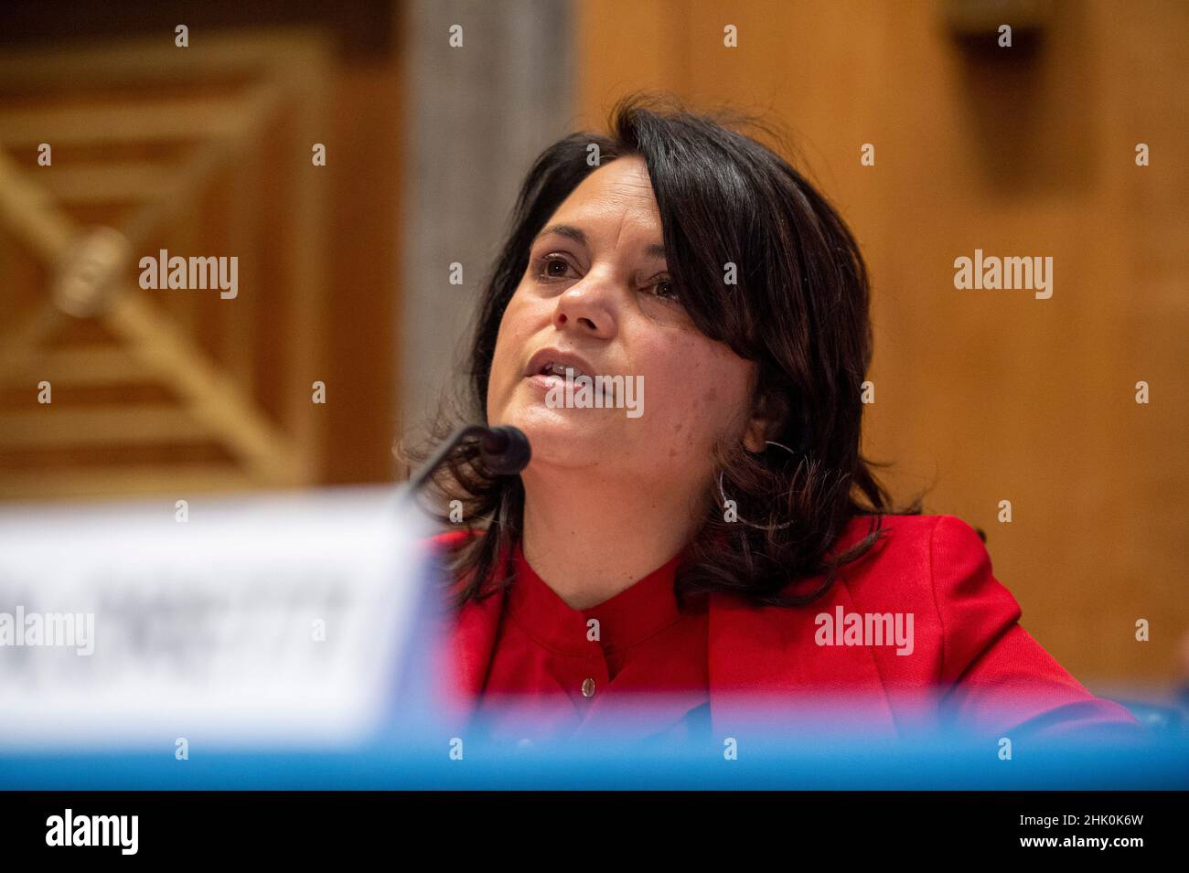 Nani Coloretti, dalla California, parla ad un senato Homeland Security and Governal Affairs Committee udienza nominandola come Vice Direttore dell'Ufficio di Gestione e bilancio al Campidoglio degli Stati Uniti a Washington, DC Martedì, Febbraio 1, 2022.Credit: Bonnie Cash/Pool via CNP /MediaPunch Foto Stock