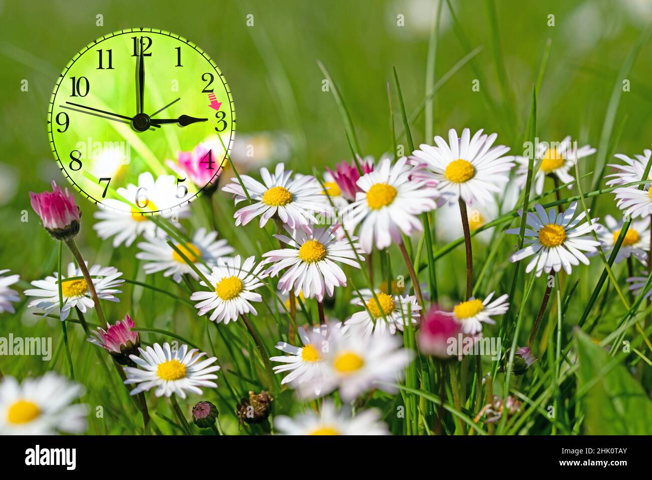 L'ora cambia dall'ora invernale all'ora estiva, orologio in un prato con margherite Foto Stock
