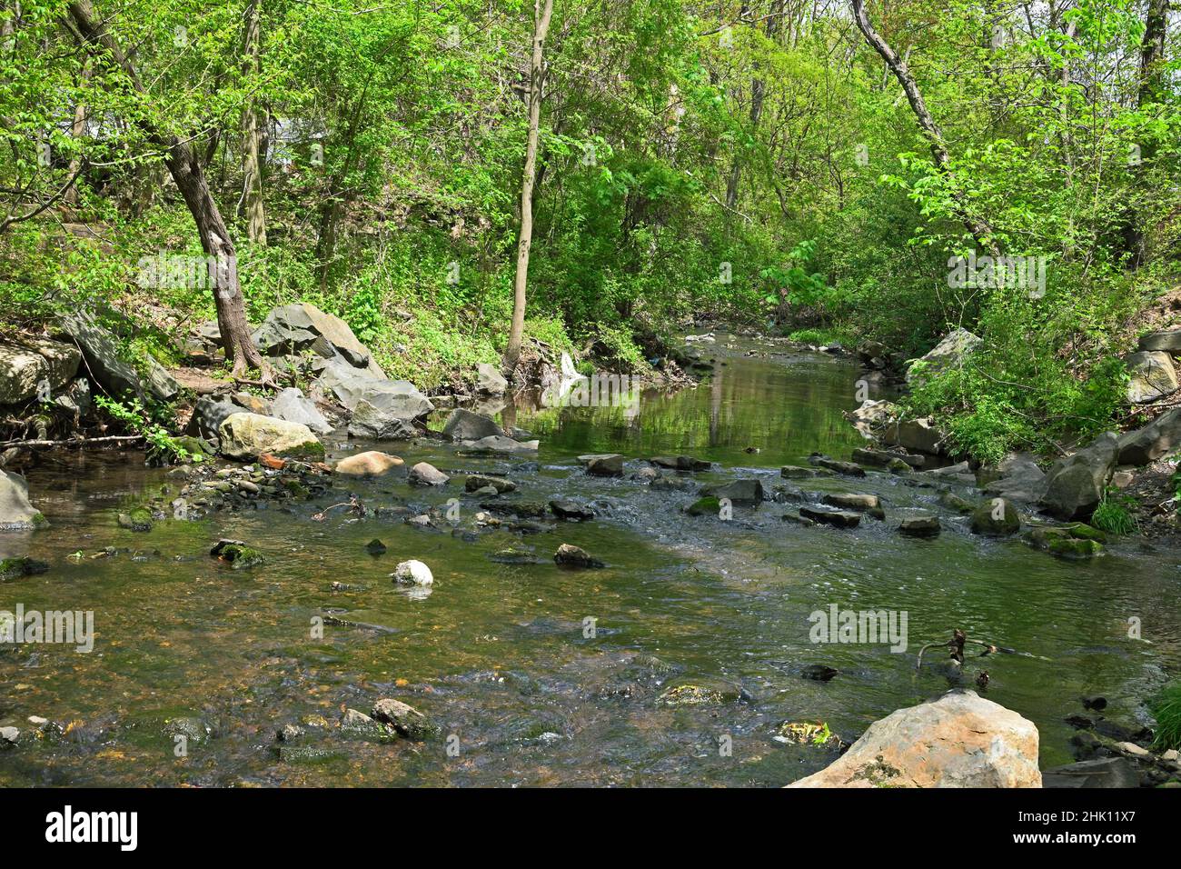 Bel torrente, piccolo fiume che scorre, con riflessi, alberi, rocce e parte di uno spartiacque, estuario Foto Stock