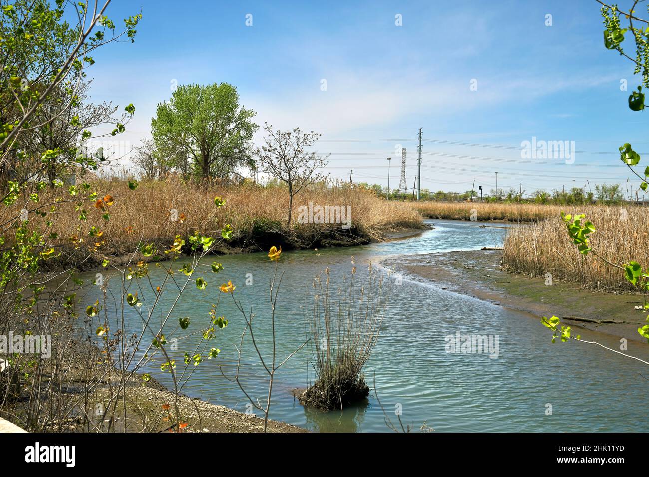 Bel torrente, piccolo fiume che scorre, con riflessi, canne, cielo blu e parte di uno spartiacque, estuario. Foto Stock