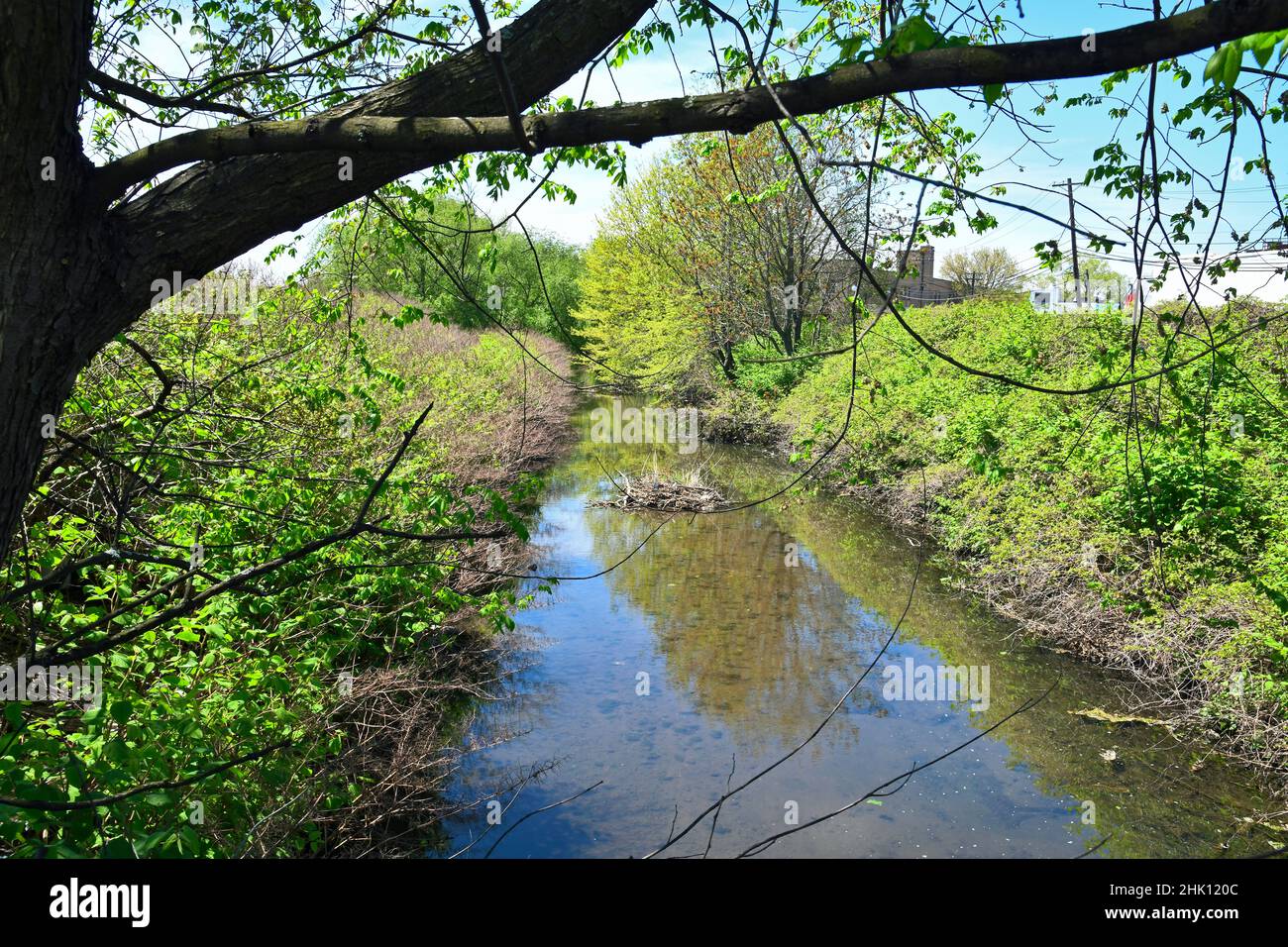 Bel torrente, piccolo fiume che scorre, con riflessi, alberi, cielo blu e parte di uno spartiacque, estuario. Foto Stock