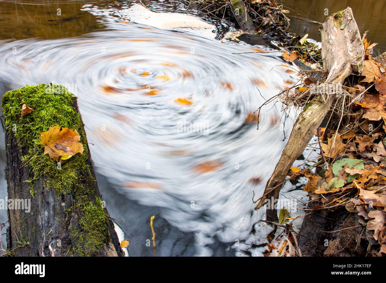 Schiuma vorticosa sulla superficie d'acqua di un torrente forestale con i ceppi sulla riva. Foto Stock