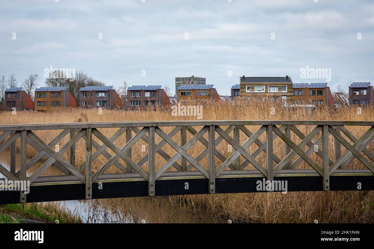 Case a Stad van de Zon (Città del Sole) quartiere nella città olandese Heerhugowaard, moderno progetto di edilizia abitativa che si impegna per la neutralità del carbonio Foto Stock