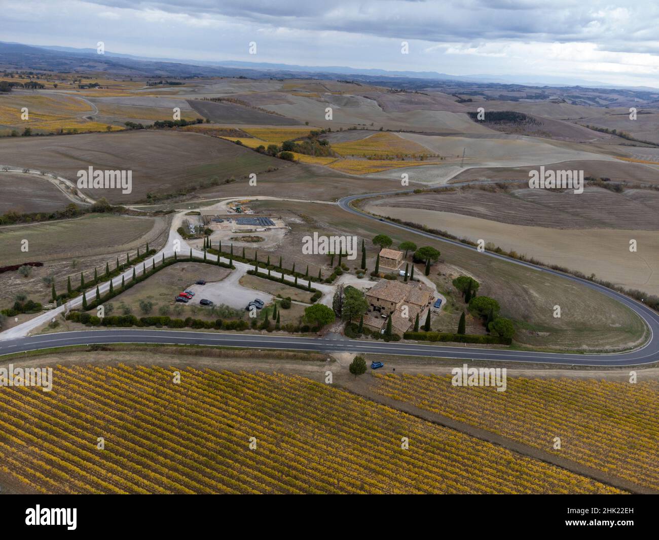 Drone volante sopra coloratissimo autunno sangiovese vigneti vicino vino città Montalcino, Toscana, filari di piante d'uva dopo la vendemmia, Italia Foto Stock