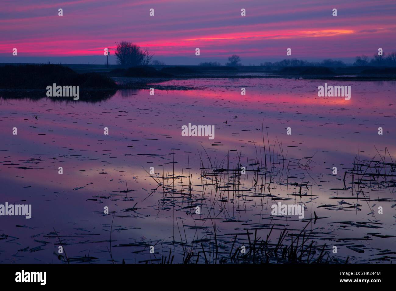 Marsh Sunset, Merced National Wildlife Refuge, California Foto Stock