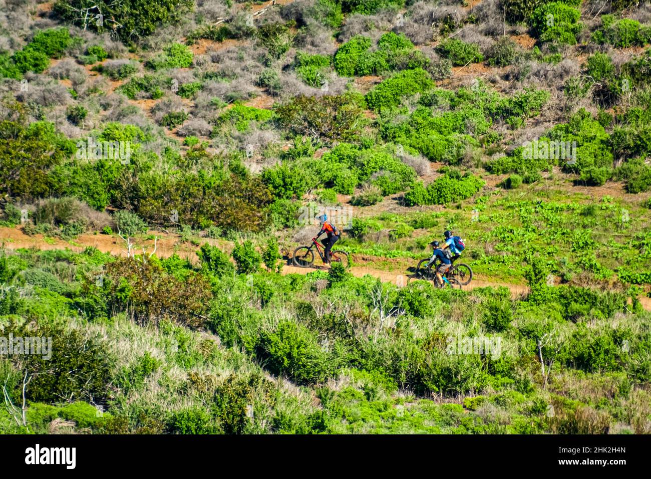 Ciclisti che cavalcano su una collina circondata dal verde Foto Stock